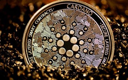 Cardano Bersiap Luncurkan Hard Fork Vasil, Catat Tanggalnya!