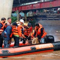 Pemprov DKI Wacanakan Ajak Daerah Penyangga Ikut Tangkap Ikan Sapu-sapu 