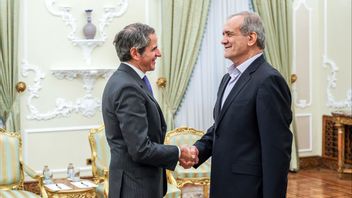 Kepala Badan Nuklir PBB Ingin Verifikasi Program Nuklir Iran Masuk Dalam Kesepakatan Damai