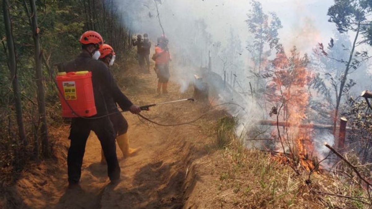 Officers Put Out The TNBTS Area Fire In Lumajang