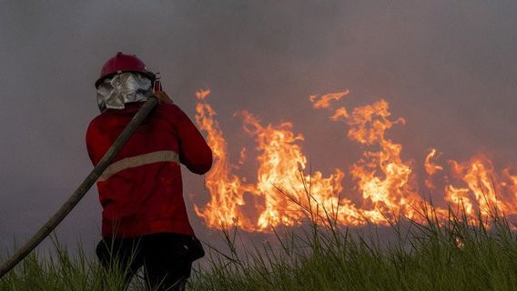 Police Ask Palm Oil Entrepreneurs In South Kalimantan To Prevent Forest And Land Fires From Being Exacerbated By El Nino