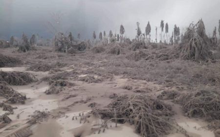 Waspada Tsunami Vulkanik dari Erupsi Gunung Taal di Filipina