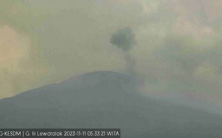 Dua Erupsi Terjadi di Gunung Ili Lewotolok, PVMBG Imbau Masyarakat Tidak Mendekat