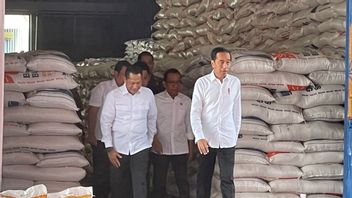 Until November There Was Rice Aid, Jokowi Hoped That The Community Would Not Be Affected By The Increase In Rice Prices
