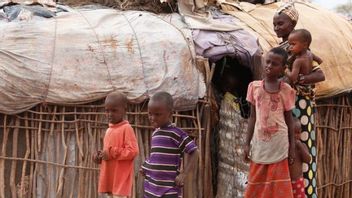 WHO: 1 Juta Anak di Kongo Terancam Kekurangan Gizi Akut