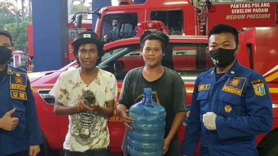 Kisah Petugas Pemadam Kebakaran Selamatkan Anak Kucing Tersangkut di Mulut Galon Air Minum