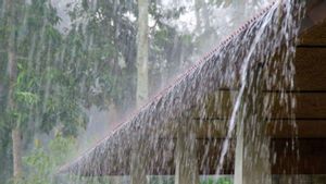  Prakiraan Cuaca Bogor 18 Februari 2021: Siang Ini Diperkirakan Hujan Deras Berpotensi Petir