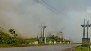 20 Hektar Lahan Kosong di Natuna Kepri Terbakar