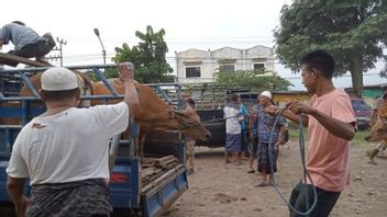 農業省、畜産市場の開放を州政府の決定を待つよう呼びかける