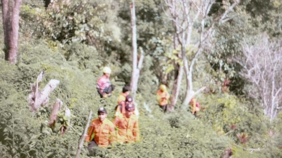 住民のアガムは鳥の射撃の森に入った後に行方不明になり、80人のSARメンバーが配備されました