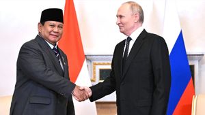 President Vladimir Putin Ready To Expand Supply Of Wheat To Oil And Gas To Indonesia