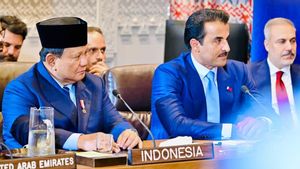 Menlu Sugiono: Presiden Prabowo Sampaikan Kesediaan Kontribusi Indonesia dalam Proses Perdamaian di Timur Tengah