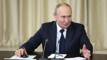 President Putin Says BRICS Could Help Achieve Political Resolution Of Gaza Conflict