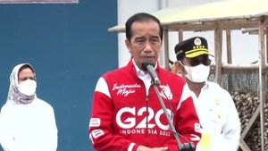 Presiden Jokowi Minta Pinang Biji Jadi Komoditas Ekspor Unggulan Indonesia