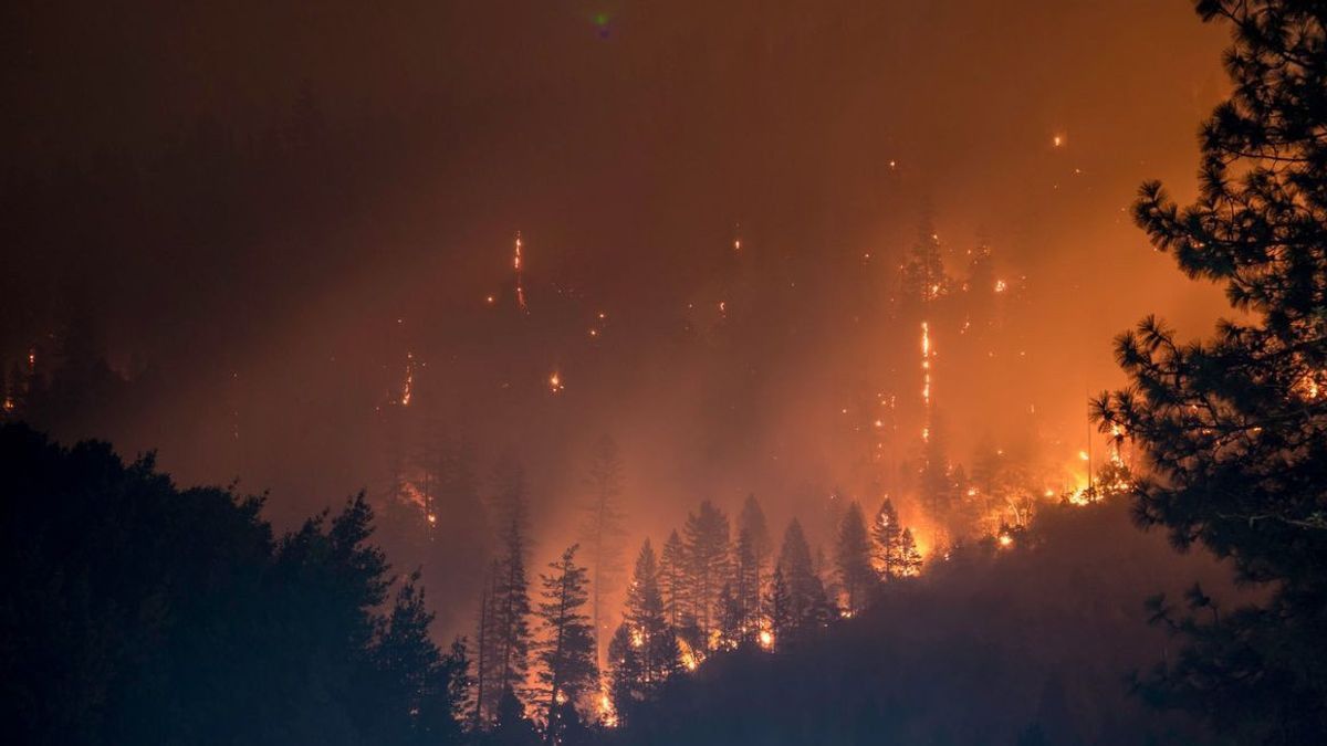 Cegah Kebakaran Hutan dan Lahan, Anggota DPR Minta Kementerian LHK Lebih Serius