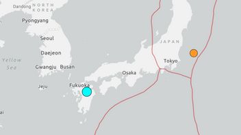 5.5 Magnitude Earthquake Shakes Japan's Kyushu