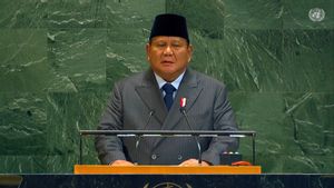 Presiden Prabowo: Kita Harus Menghentikan Bencana Kemanusiaan di Gaza, Mengakhiri Perang dan Mengakui Palestina