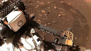 المثابرة تجد الصخور العضوية على المريخ ، مما يجعلك أكثر يقينا من وجود حياة!