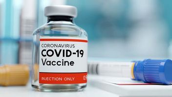 Anggota DPR Fraksi PKS Minta Pemerintah Percepat Produksi Vaksin Merah Putih: Sayang Anggaran Tipis tapi Beli Vaksinnya Impor