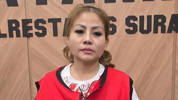 Usai Viral Tahan Ijazah Karyawan, Jan Hwa Diana Jadi Tersangka Kasus Perusakan Mobil