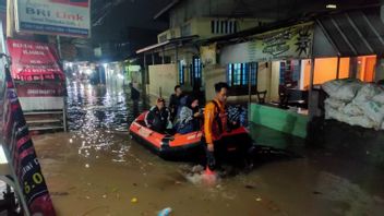 2 Desa di Kabupaten Bogor Kebanjiran, BNPB Salahkan Cuaca Ekstrem 