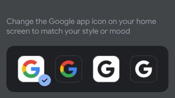Google Search App On IOS Get Customizable Icon