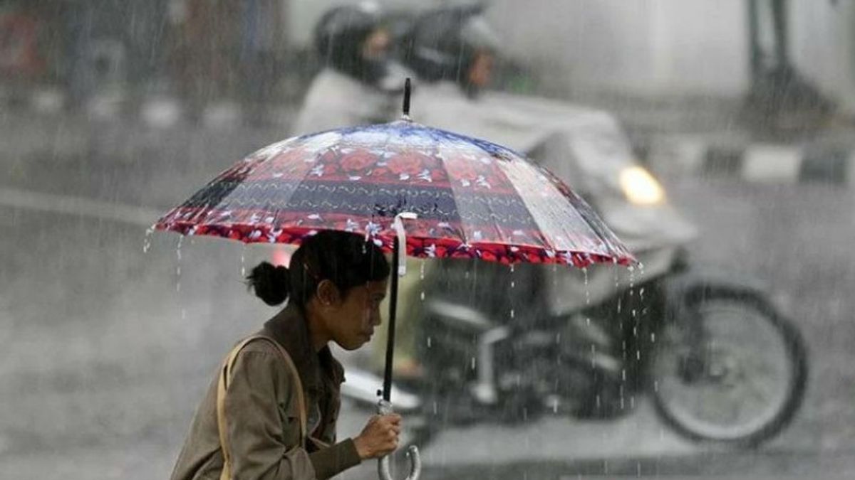 Cuaca Sulawesi Tenggara Sore Hingga Malam Ini, Waspada Potensi Hujan Angin di 9 Kabupaten