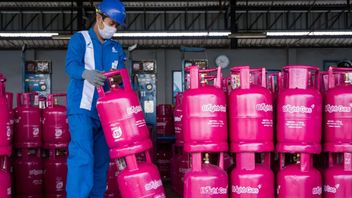 Economist: Increase In Non-Subsidized LPG Increases The Community's Burden