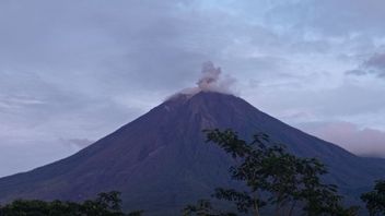 Gunung Semeru Erupsi, Semburkan Asap Setinggi 1.000 Meter