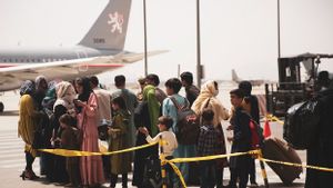 20 Orang Tewas dalam Seminggu Terakhir, Operasional Bandara Internasional Kabul Ditangguhkan