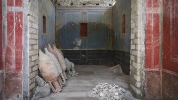 考古学者がイタリアのポンペイ検出センターエリアで青い部屋を見つけます