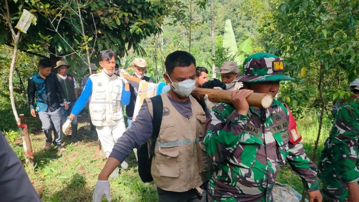 BKSDA Sumbar Evakuasi Harimau Masuk Kandang Jebak di Agam