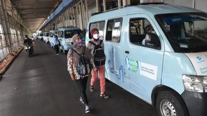 DKI Rekrut 1.000 Sopir Mikrotrans, Pendaftaran Dibuka Gratis