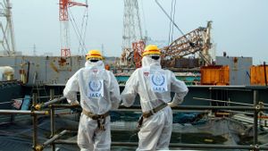  Waduh, Media Jepang Sebut Bahan Kimia Radioaktif Ditemukan dalam Madu Fukushima