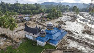 Soal Status Bencana Nasional, Ketua MPR: Sepenuhnya Kewenangan Presiden