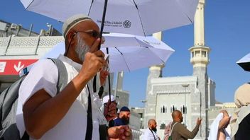 Teknologi AI Layani Jutaan Jemaah Haji di Arab Saudi