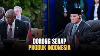 Indonesia Dorong Kerja Sama Ekonomi Negara-Negara BRICS