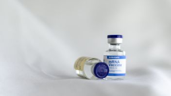 Stok Vaksin di Daerah Habis, Puan Maharani: Pemerintah Harus Segera Kirim, Jangan Sampai Ada Jeda