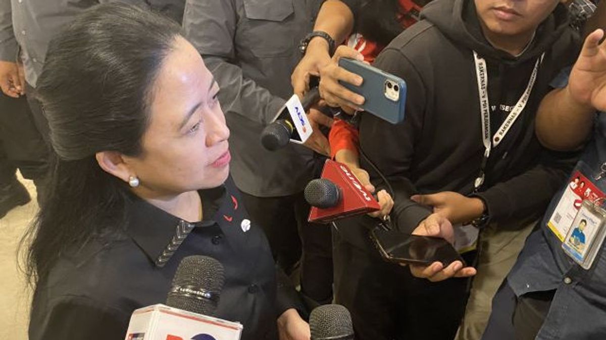 Puan Respons Pernyataan Megawati Soal Revisi UU MK dan UU Penyiaran