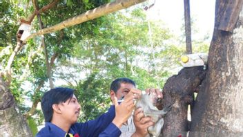 Kabupaten Mukomuko dapat Tambahan 1.500 Dosis Vaksin Rabies untuk Anjing, Kucing dan Monyet