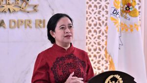 Politikus PDIP Johan Budi: Dewan Kolonel Tak Terkait DPP, Tapi Puan Maharani Sudah Tahu