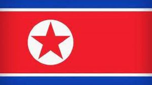 Korea Utara Kecam IMO yang Kritik Peluncuran Satelitnya