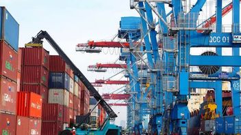 TPS Container Flow Reaches 1.5 Million TEUs In 2024