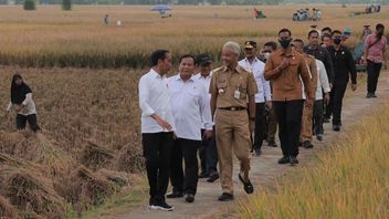 Prabowo: Food Estate Project Must Protect People's Interests
