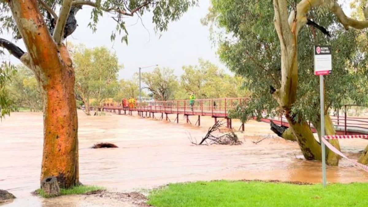 Survivant à Une Inondation Après Une Voiture Traînée Par Le Courant, Cet Homme S’accroche à Un Arbre Pendant 6 Heures