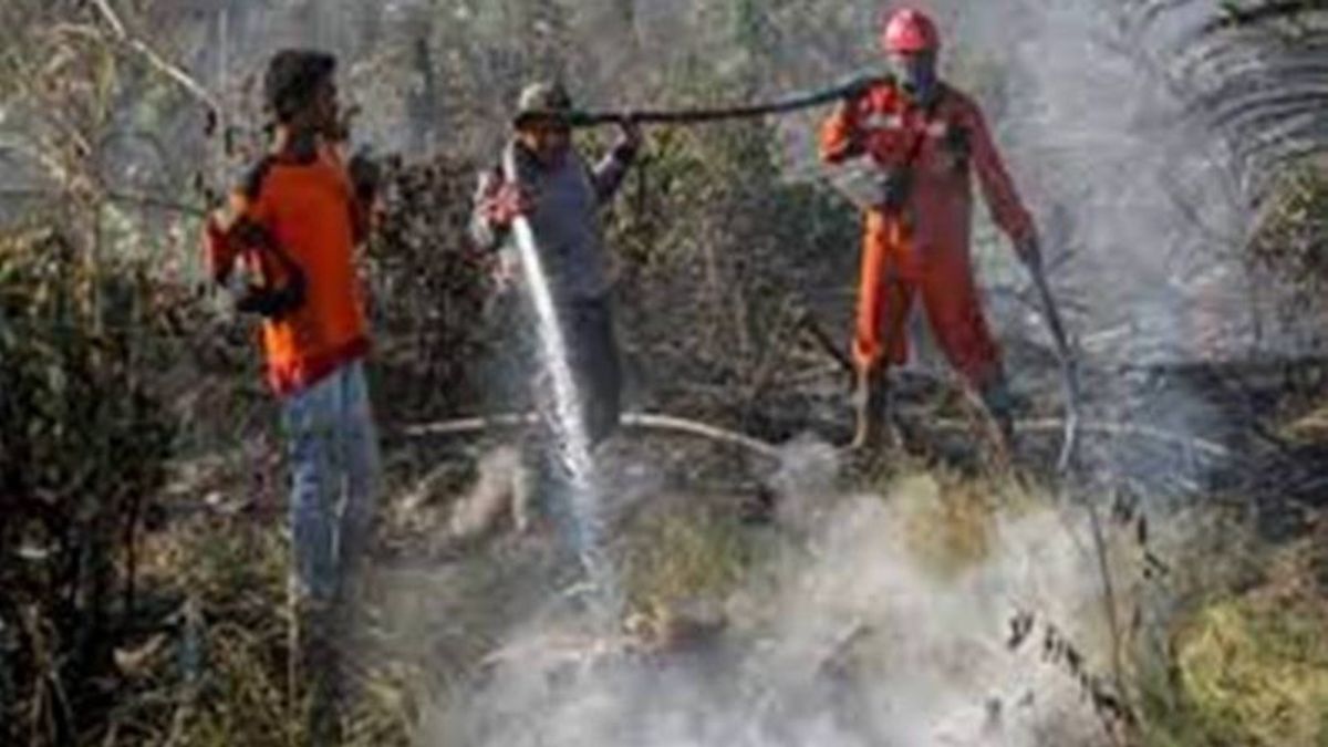 L’équipe de Manggala Agni Kampar a gâché 2 hectares de terres en feu