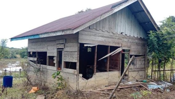 5 Gajah Mengamuk di Aceh, Rumah dan Kebun Warga di Nagan Raya Dirusak