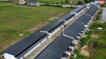 BNPB Rampungkan 55 Huntara bagi Korban Banjir Bandang di Pidie Jaya Aceh