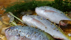 Praktis dan Mudah! Ini Resep Ikan Ekor Kuning yang Lezat