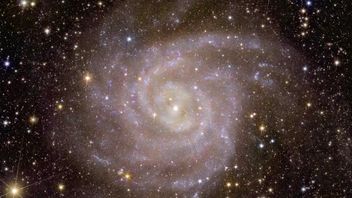 ESAエクレッド望遠鏡が探査中にスパイラル銀河と出会う
